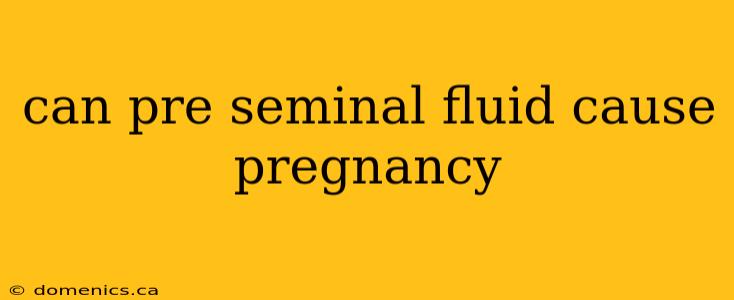 can pre seminal fluid cause pregnancy