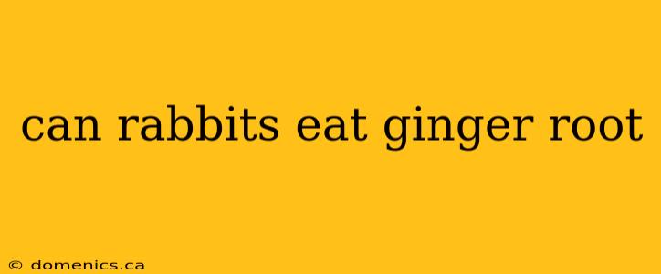 can rabbits eat ginger root