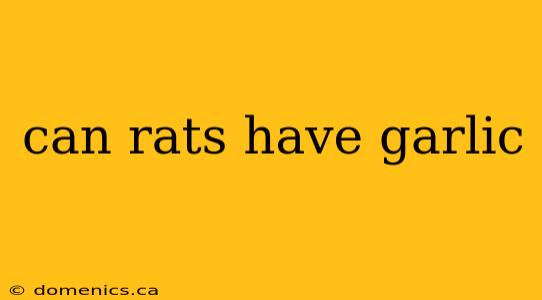 can rats have garlic