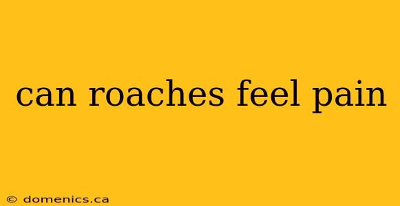 can roaches feel pain