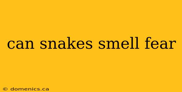 can snakes smell fear