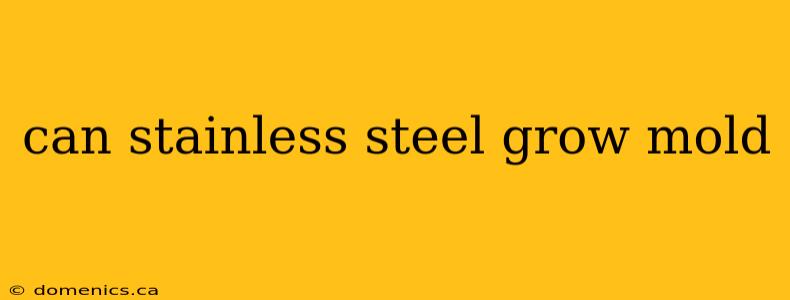 can stainless steel grow mold