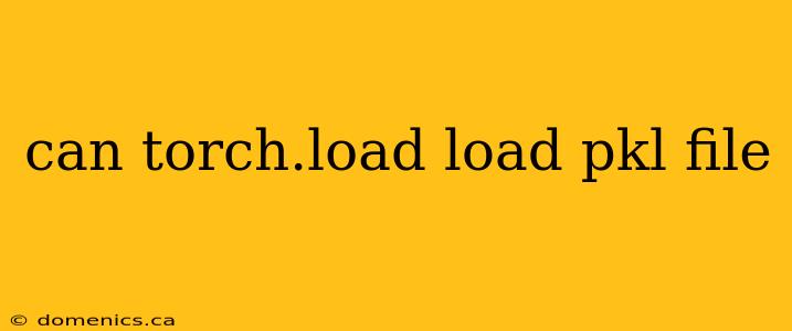 can torch.load load pkl file