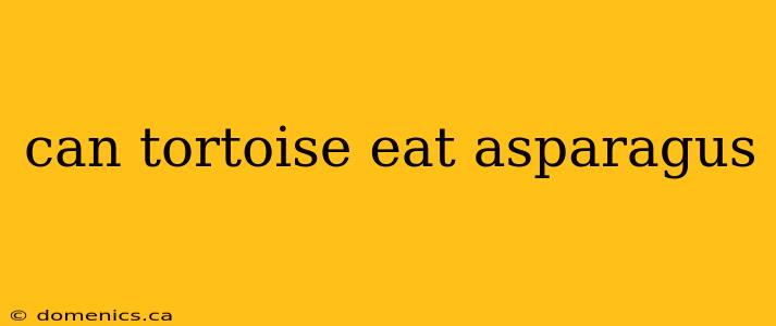 can tortoise eat asparagus