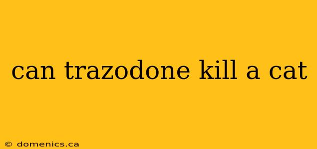 can trazodone kill a cat