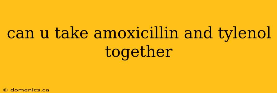 can u take amoxicillin and tylenol together