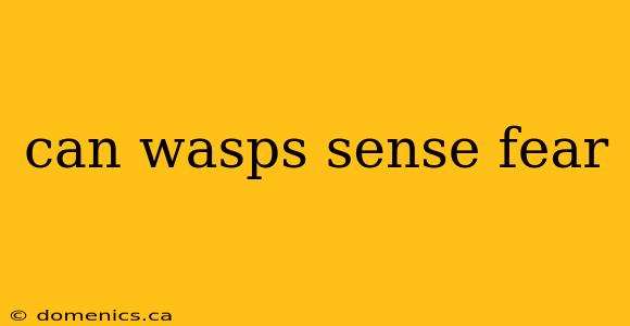 can wasps sense fear