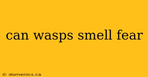 can wasps smell fear