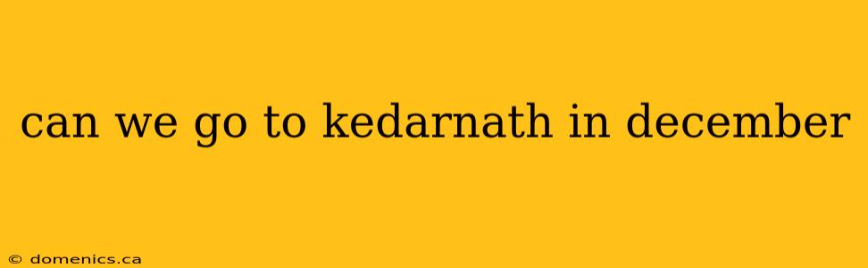 can we go to kedarnath in december