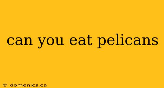 can you eat pelicans