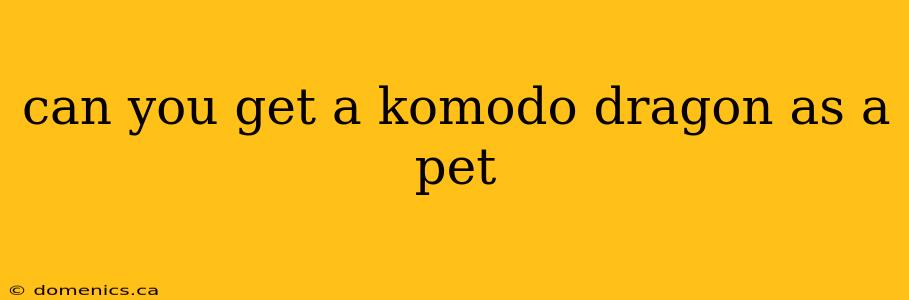 can you get a komodo dragon as a pet