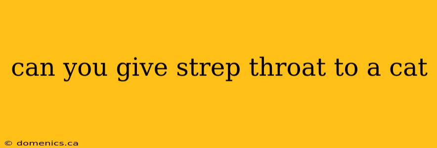 can you give strep throat to a cat