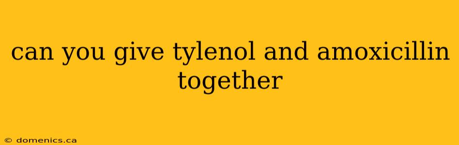 can you give tylenol and amoxicillin together