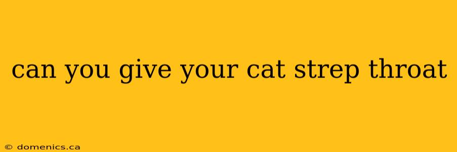 can you give your cat strep throat