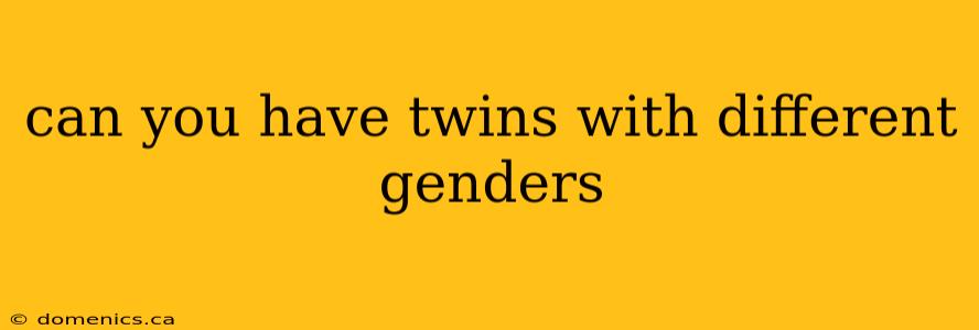 can you have twins with different genders