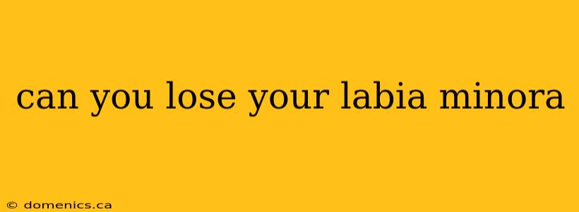 can you lose your labia minora