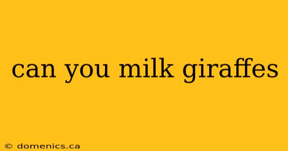 can you milk giraffes