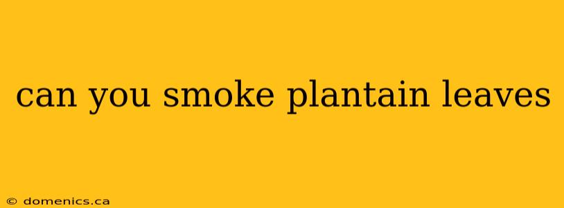 can you smoke plantain leaves