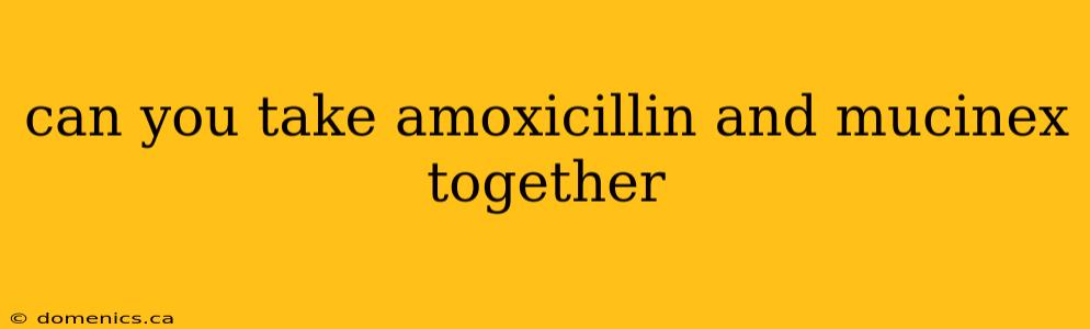 can you take amoxicillin and mucinex together