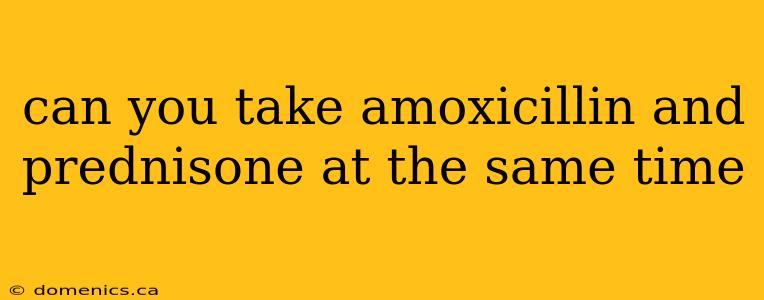 can you take amoxicillin and prednisone at the same time