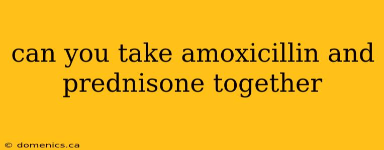 can you take amoxicillin and prednisone together