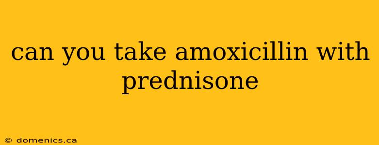 can you take amoxicillin with prednisone