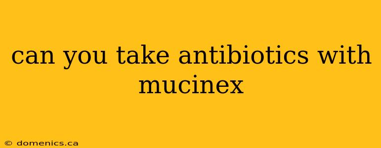 can you take antibiotics with mucinex