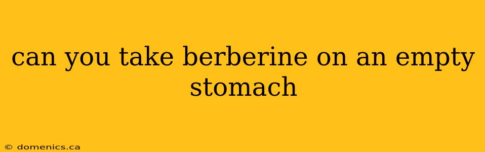 can you take berberine on an empty stomach