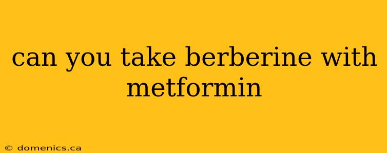 can you take berberine with metformin