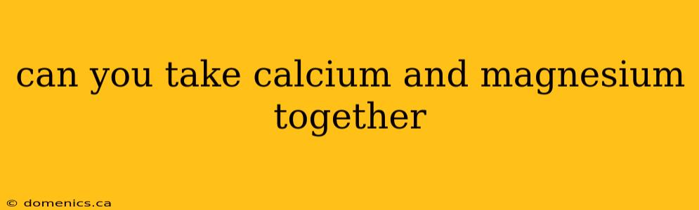 can you take calcium and magnesium together