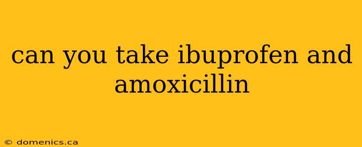 can you take ibuprofen and amoxicillin