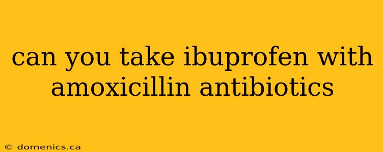 can you take ibuprofen with amoxicillin antibiotics