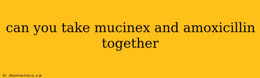 can you take mucinex and amoxicillin together