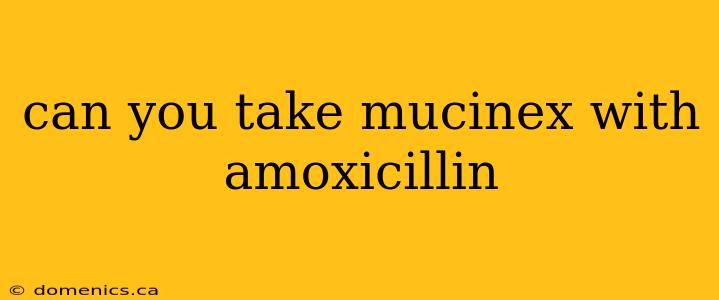 can you take mucinex with amoxicillin