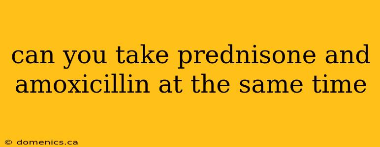 can you take prednisone and amoxicillin at the same time