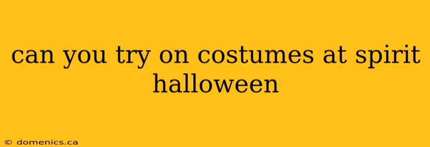 can you try on costumes at spirit halloween