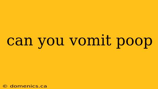 can you vomit poop