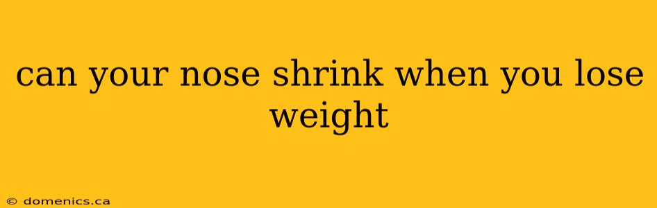 can your nose shrink when you lose weight