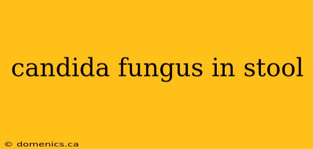 candida fungus in stool