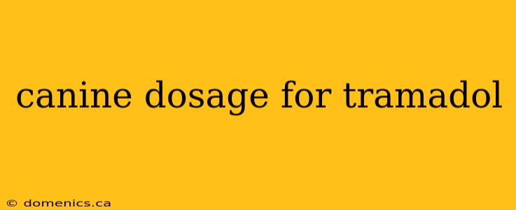 canine dosage for tramadol