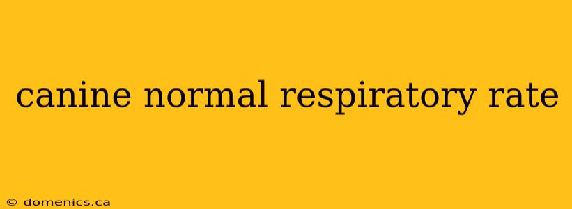 canine normal respiratory rate