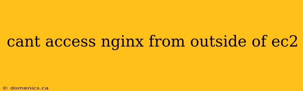 cant access nginx from outside of ec2