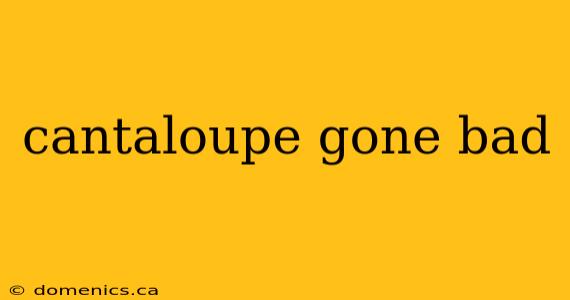 cantaloupe gone bad