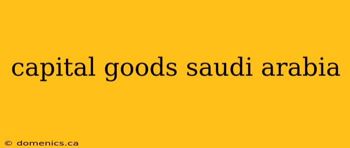 capital goods saudi arabia