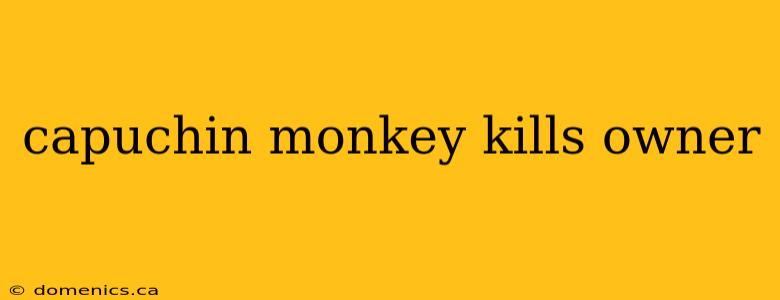 capuchin monkey kills owner