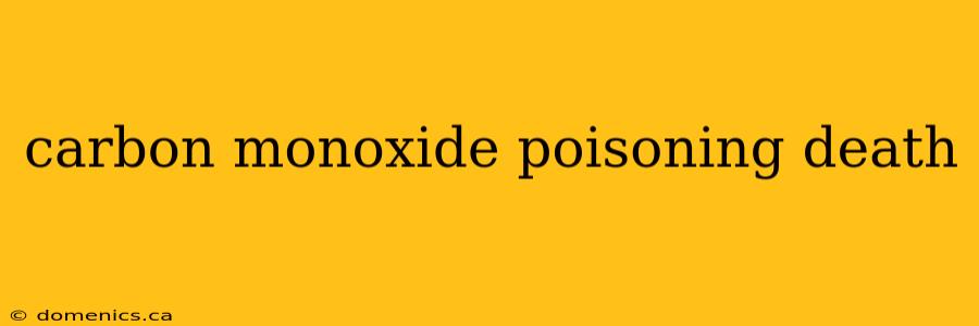 carbon monoxide poisoning death