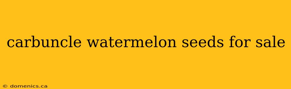 carbuncle watermelon seeds for sale