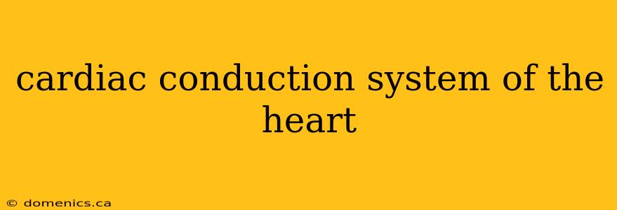 cardiac conduction system of the heart