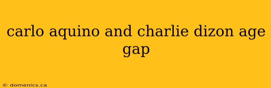 carlo aquino and charlie dizon age gap