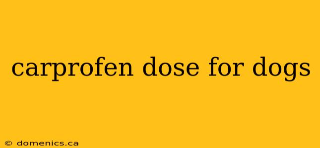 carprofen dose for dogs